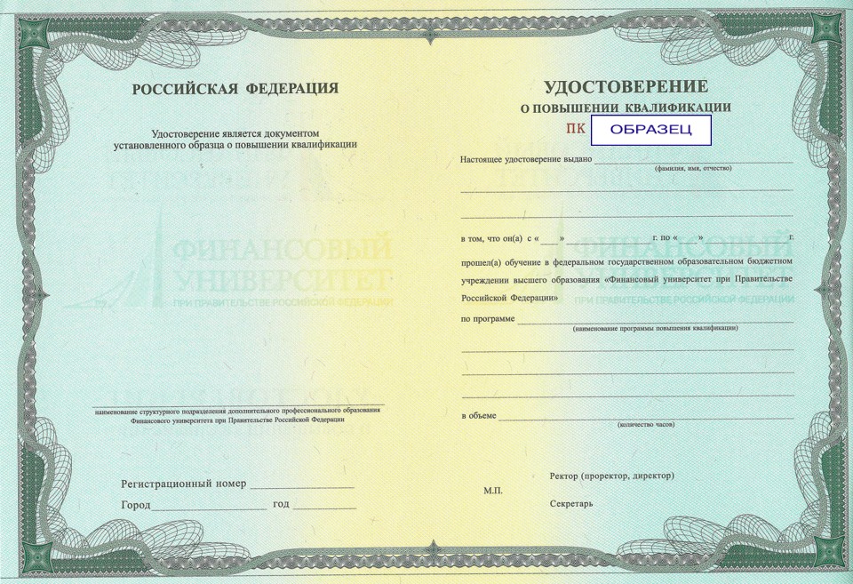 Документ, который Вы получите